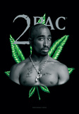 Tupac - Herb