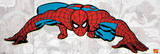 Spider-Man (Comics & BD)